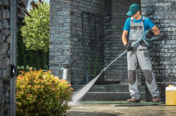 Best Patio and Deck Pressure Washing  in Carrizo Springs, TX